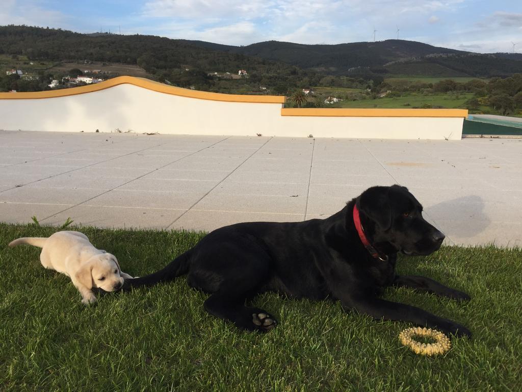 Cabecas Do Reguengo Vendégház Portalegre Kültér fotó